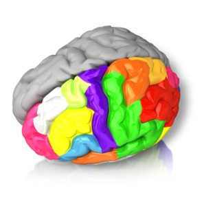 Left Brained Color PowerPoint clipart graphic preview.
