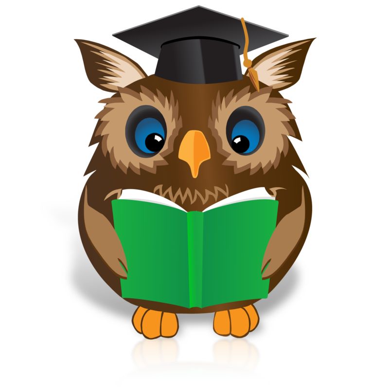 High-resolution clipart illustration of Smart Owl Reading Book, designed for digital transformation strategies, enterprise software training, and advanced information technology frameworks.