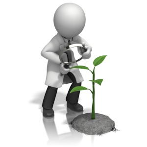 Scientist Magnify Plant PowerPoint clipart graphic preview.