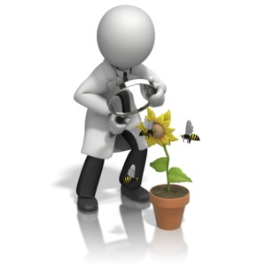 Scientist Magnify Bee PowerPoint clipart graphic preview.
