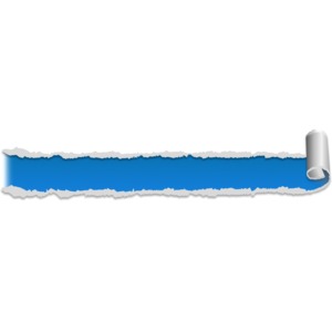 Paper Scroll Tear Two PowerPoint clipart graphic preview.