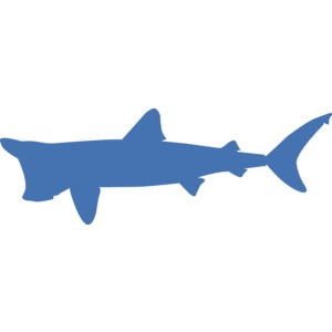 Basking Shark Silhouette PowerPoint clipart graphic preview.