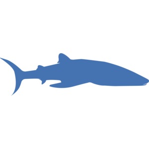 Whale Shark Silhouette PowerPoint clipart graphic preview.