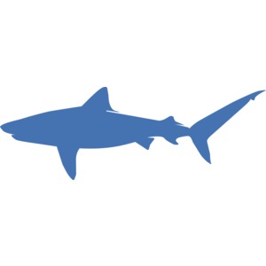 Tiger Shark Silhouette PowerPoint clipart graphic preview.