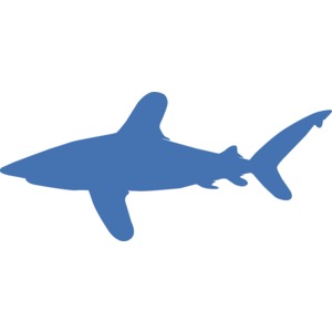 Oceanic Whitetip Silhouette PowerPoint clipart graphic preview.