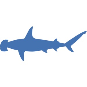 Hammerhead Shark Silhouette PowerPoint clipart graphic preview.