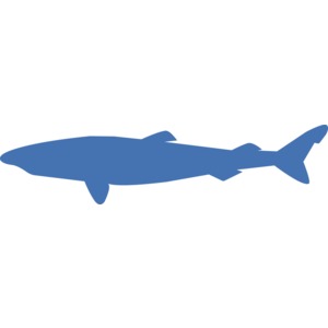 Greenland Shark Silhouette PowerPoint clipart graphic preview.