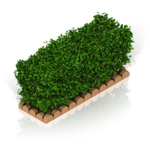 Hedge PowerPoint clipart graphic preview.