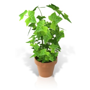 Plant in a Pot PowerPoint clipart graphic preview.