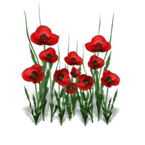 Poppy Flower Bunch PowerPoint clipart graphic preview.