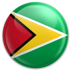Badge of Guyana PowerPoint clipart graphic preview.