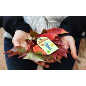 Fall Handful Custom Customizable PowerPoint clipart graphic preview.