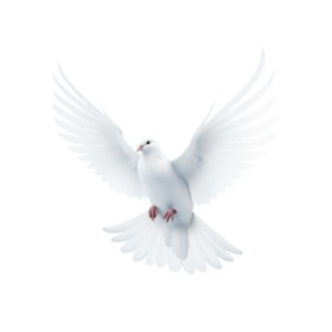 White Dove in Flight PowerPoint clipart graphic preview.