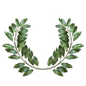 Laurel Leaf Ring PowerPoint clipart graphic preview.