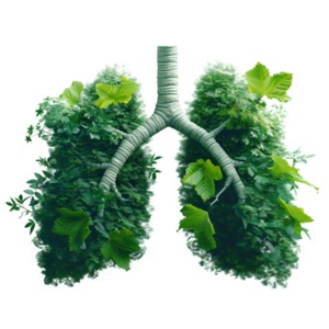 Lungs of the Earth PowerPoint clipart graphic preview.