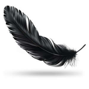 Black Raven Feather PowerPoint clipart graphic preview.