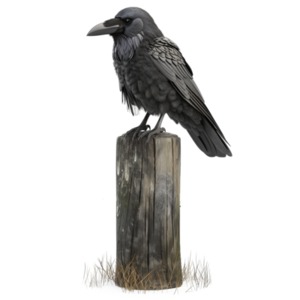Watchful Raven PowerPoint clipart graphic preview.