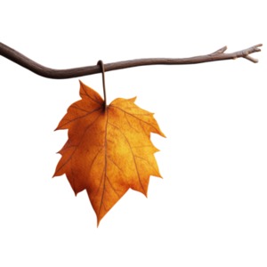 Last Leaf of Autumn PowerPoint clipart graphic preview.