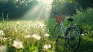 Serene Bicycle Meadow PowerPoint clipart graphic preview.