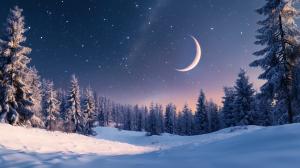 Winter Night Serenity PowerPoint clipart graphic preview.