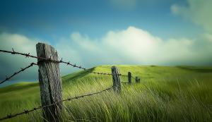 Rustic Landscape Serenity PowerPoint clipart graphic preview.