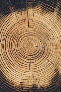 Tree Rings Background PowerPoint clipart graphic preview.