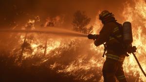 Firefighter Battling Wildfire PowerPoint clipart graphic preview.