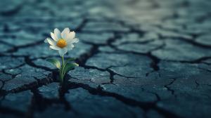 Flower in Cracked Earth Background Image PowerPoint clipart graphic preview.