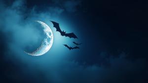 Moonlit Night with Bats PowerPoint clipart graphic preview.
