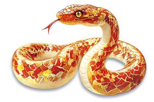 Red Gold Snake PowerPoint clipart graphic preview.