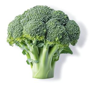 Broccoli Floret PowerPoint clipart graphic preview.