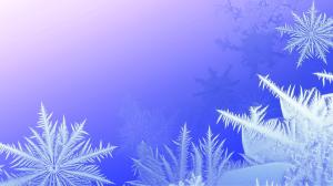 Winter Frost Background Image PowerPoint clipart graphic preview.