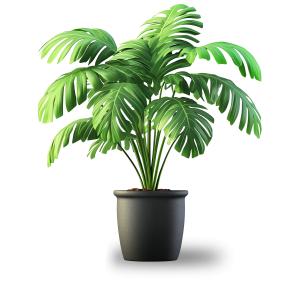 Potted Plant  Image PowerPoint clipart graphic preview.
