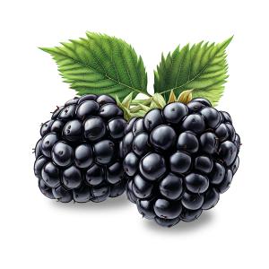 Twin Blackberries PowerPoint clipart graphic preview.