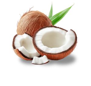 Sliced Coconuts  Image PowerPoint clipart graphic preview.
