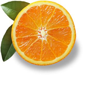 Half Orange PowerPoint clipart graphic preview.
