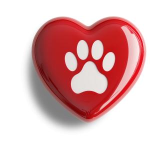 Pet Love Heart and Paw Print PowerPoint clipart graphic preview.