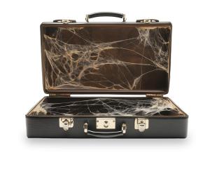 Briefcase with Cobwebs  for Career Stagnation and Missed Opportunities PowerPoint clipart graphic preview.