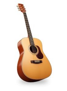 Acoustic Guitar  for Music, Art, and Education PowerPoint clipart graphic preview.