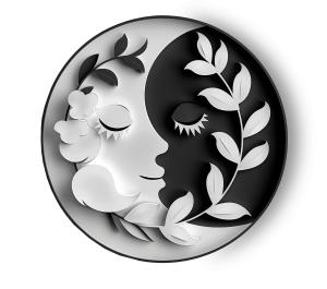 Sun and Moon Yin Yang Balance PowerPoint clipart graphic preview.