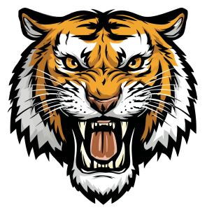 Fierce Tiger Head  for Branding, Sports, and Symbolic Presentations PowerPoint clipart graphic preview.