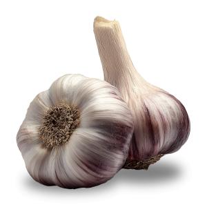 A  Image of Bulbs of Garlic PowerPoint clipart graphic preview.