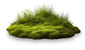 Mossy Grass Patch PowerPoint clipart graphic preview.