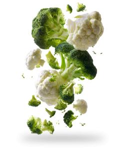 Broccoli and Cauliflower PowerPoint clipart graphic preview.