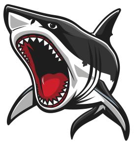 Fierce Shark Mascot  PNG PowerPoint clipart graphic preview.