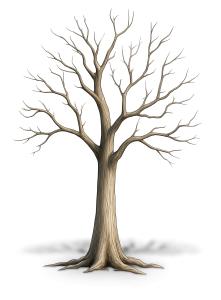 Winter Tree  for Seasonal and Nature-Themed Presentations PowerPoint clipart graphic preview.