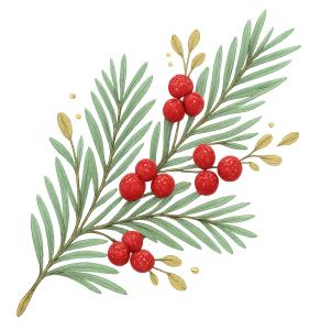 Pine Branch Berries  Illustration PowerPoint clipart graphic preview.