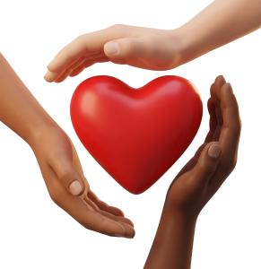 A  Image of Diverse Hands Surrounding Heart PowerPoint clipart graphic preview.