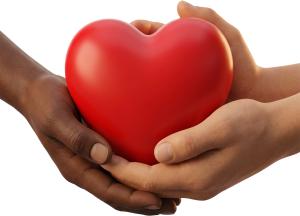 Diverse Heart Being Held PowerPoint clipart graphic preview.