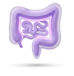 Intestine PowerPoint clipart graphic preview.
